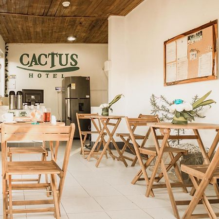 Hotel Cactus Taganga Exterior photo